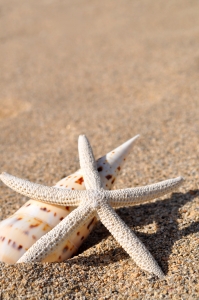 Holiday safety and security tips